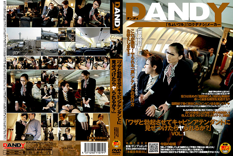 DANDY-079 You Think If I Got Hard On Purpose And Showed It To A Flight Attendant She’d Fuck Me?
